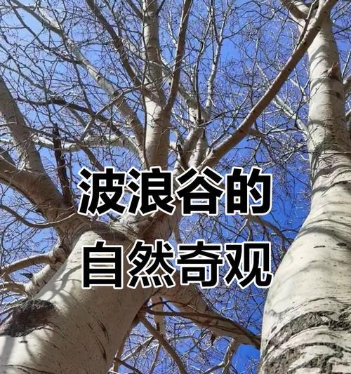春天的神奇（探秘大自然的奥秘）
