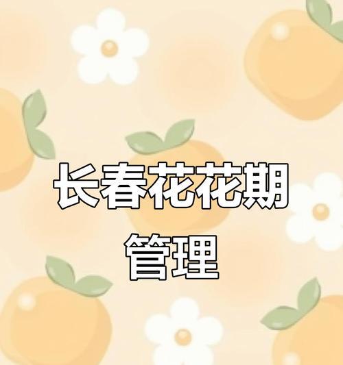 茁长成长——从一个小苗到巨树的故事
