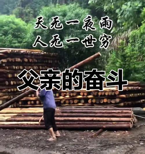 奉献与坚持的力量（一个让人敬佩的爸爸）