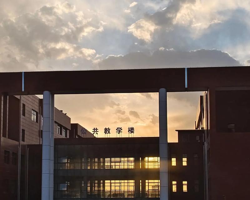 ——完——