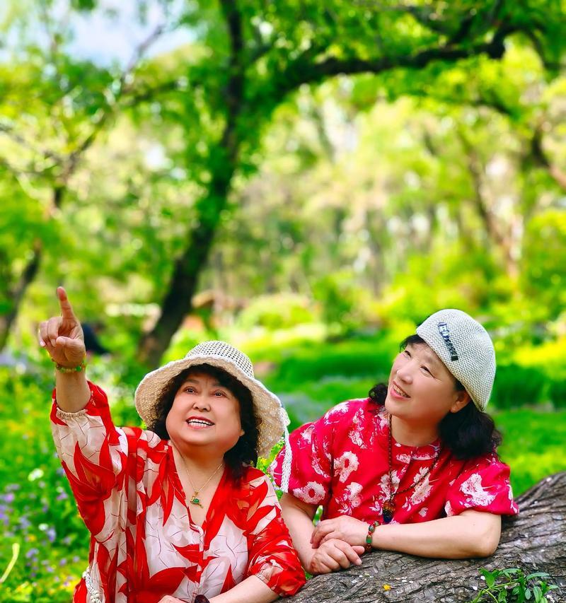 阳光的力量（人生的坎坷与美好）